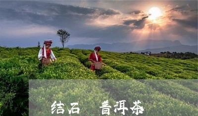 结石 普洱茶/2023042846657